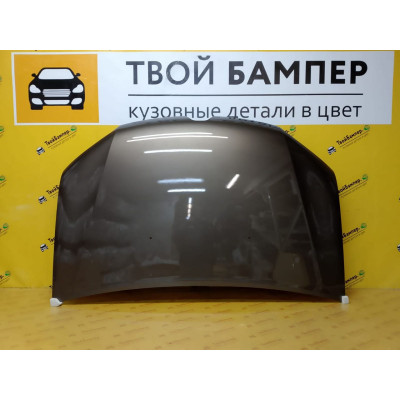 Капот Renault Logan 2014 Brun Vison CNM Тайвань