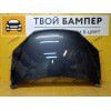 Капот Ford Focus 2 (05) Sea Grey 6DYE Тайвань