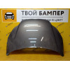 Капот Ford Focus 3 Lunar Sky AK5C Китай
