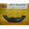 Защита переднего бампера нижняя Ford Focus III 2011 ЭКО